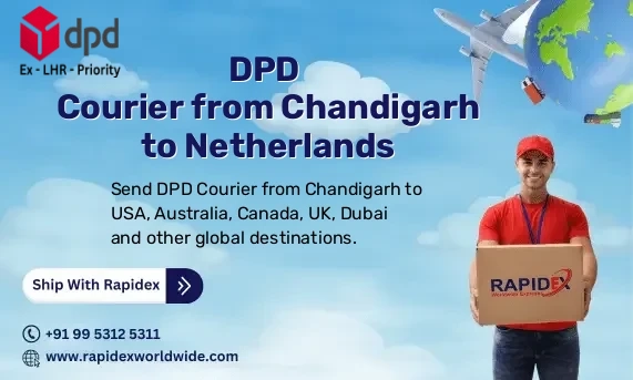 DPD Courier from Chandigarh to Netherlands | Free Pickup & Fast Delivery