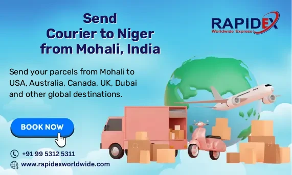 Courier to Niger from Mohali, India | Fast & Reliable Delivery