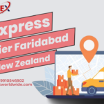 Complete Guide for FExpress Courier from Faridabad to New Zealand  