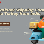 Top Reasons to Choose Rapidex Worldwide Express for Shipping to Turkey