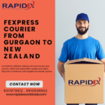 The Easy Process of FExpress Courier from Gurgaon to New Zealand with Rapidex Worldwide Express