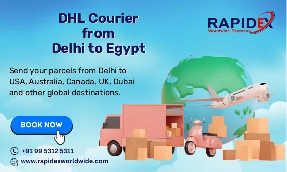 DHL Courier from Delhi to Egypt | Free Pickup & Fast Delivery